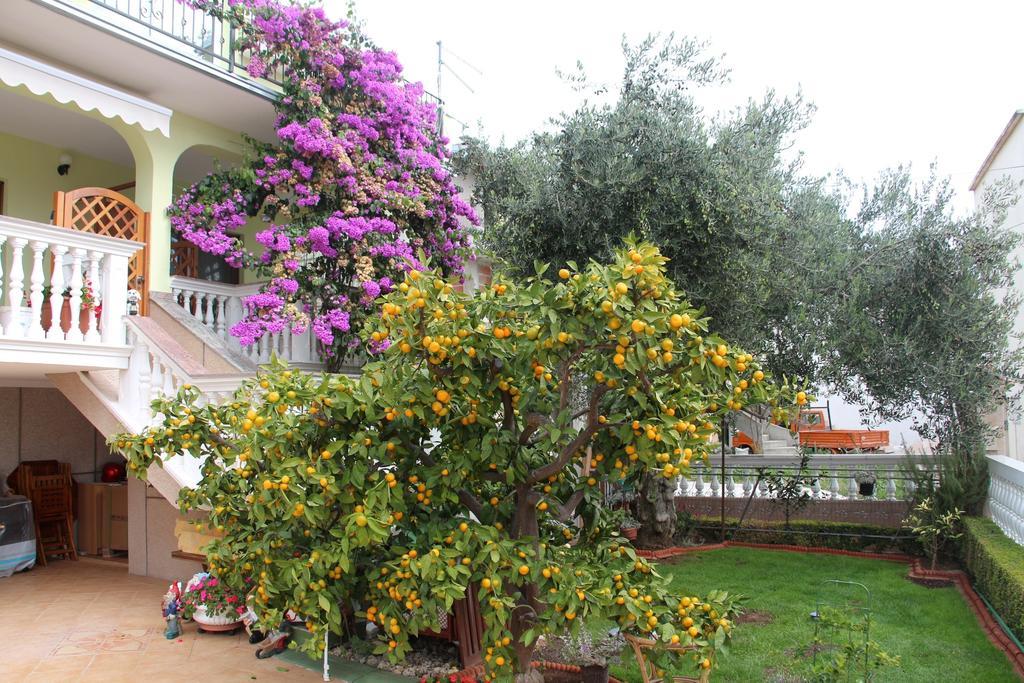 Apartmani Gojevic فوديس المظهر الخارجي الصورة